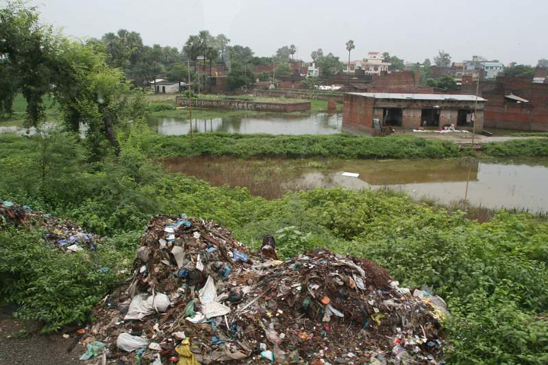 India & Nepal 2011 - 0695